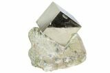 Pyrite Cube In Rock - Navajun, Spain #105397-1